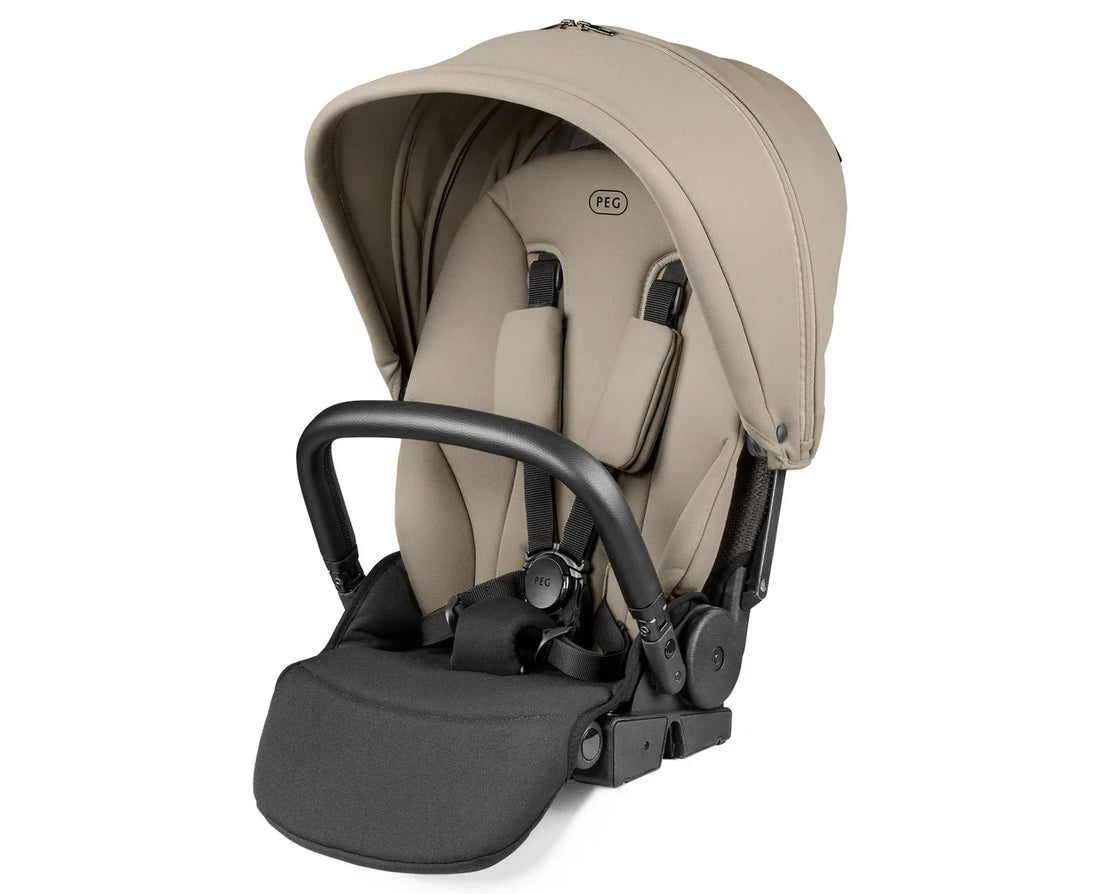 Peg Perego City Loop Stroller Seat — City Loop Seat