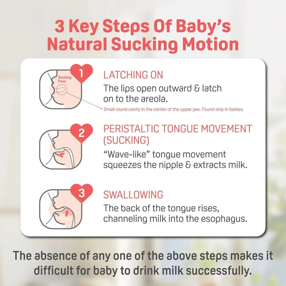 Pigeon Newborn Feeding Gift Set; baby feeding essentials (0-6 months) shown with latching, tongue-movement, and swallowing steps.