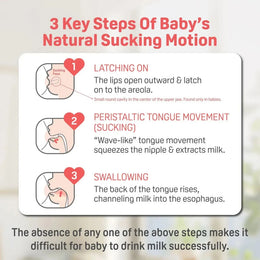 Pigeon Newborn Feeding Gift Set (0+M-6+M)