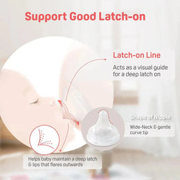 Pigeon Newborn Feeding Gift Set (0+M-6+M)