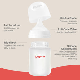 Pigeon Silicone-Coated Glass Bottle 5oz with SS Nipple (0M+) - 2-Pack