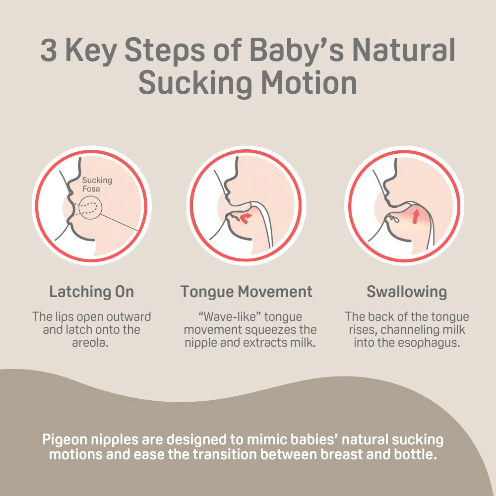 Diagram of latching on, tongue movement and swallowing during feeding