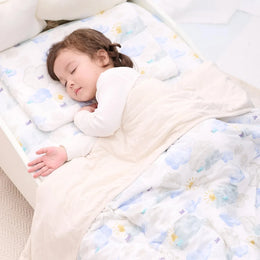 Nest Designs Nook Toddler Pillow with Pillowcase