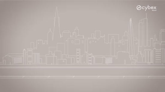 Cybex Avi Spin All Terrain Stroller