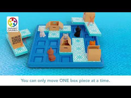 Smart Games Cats & Boxes