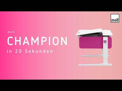 Moll Champion Height Adjustable Desk Front Up