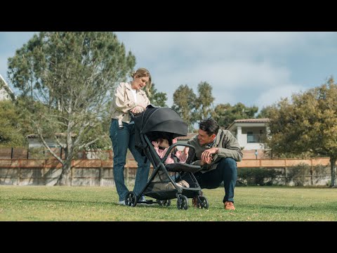 Inglesina Quid³ Car Seat Adapter