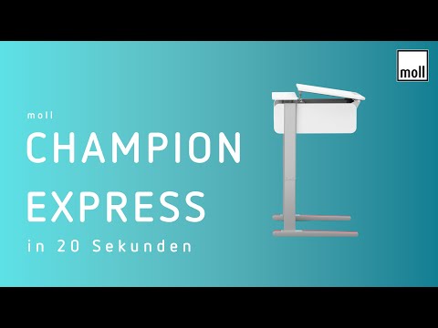 Moll Champion Compact Express Height Adjustable Desk