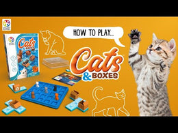 Smart Games Cats & Boxes