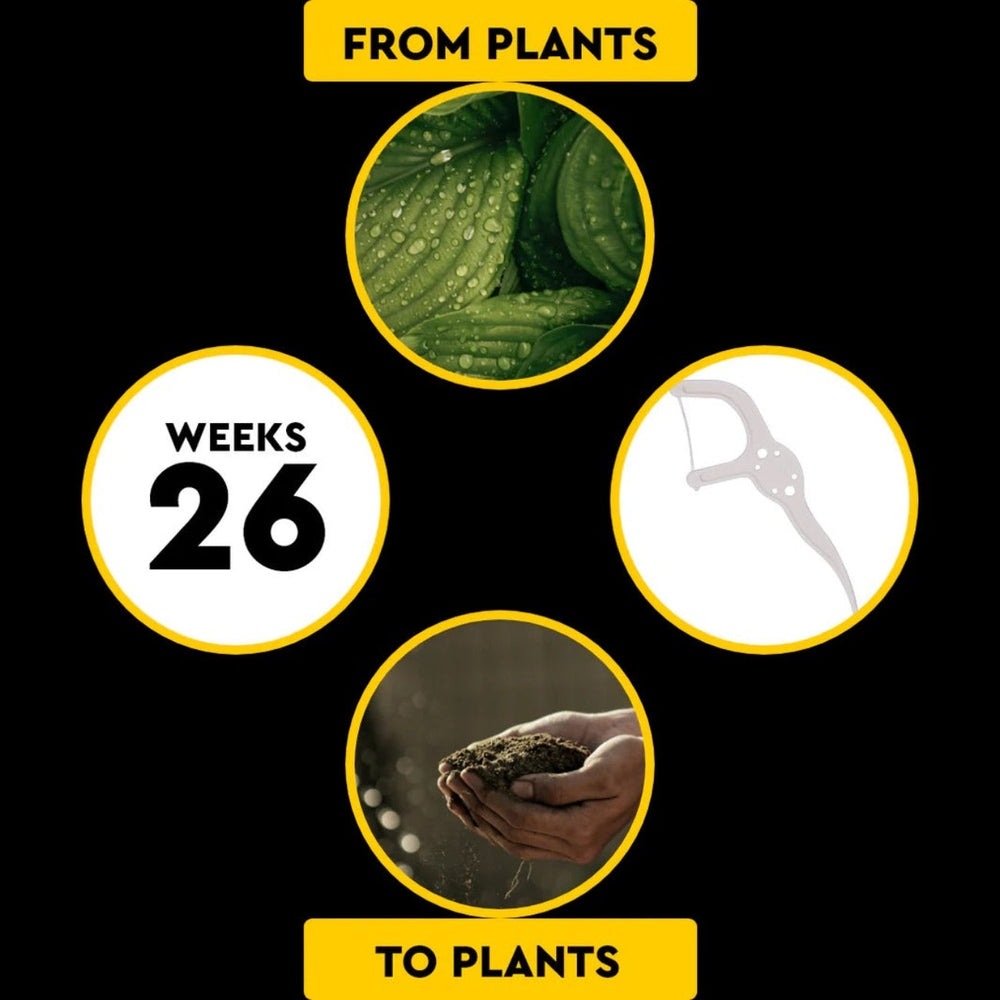 Radius EcoFlex Floss Pick Bubble Gum, plant-based eco-friendly dental floss pick shown with plant-to-plant lifecycle imagery.