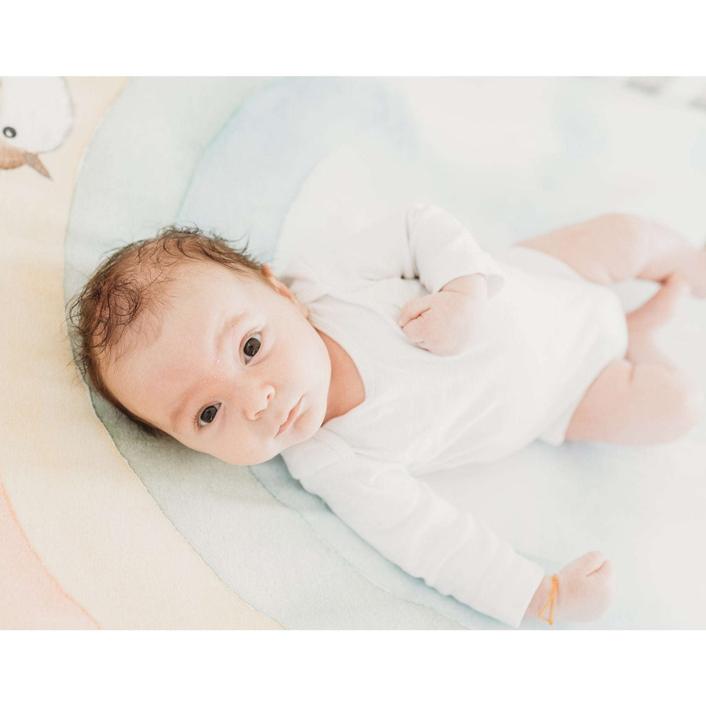 Rookie Humans cotton sateen crib sheet in pastel rainbow with birds for baby