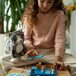 Smart Games Cats & Boxes