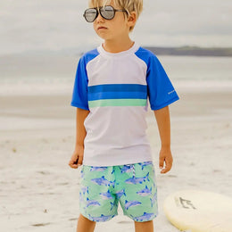 Snapper Rock Minty Shark Volley Board Short