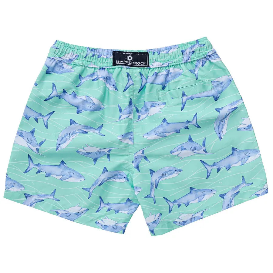 Snapper Rock Minty Shark Volley Board Short with elastic waistband, mint green fabric and blue shark print.