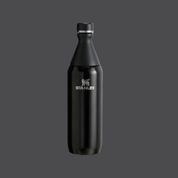 Stanley All Day Slim Bottle 20 oz