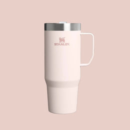 Stanley The Everyday Suburban Mug 16oz