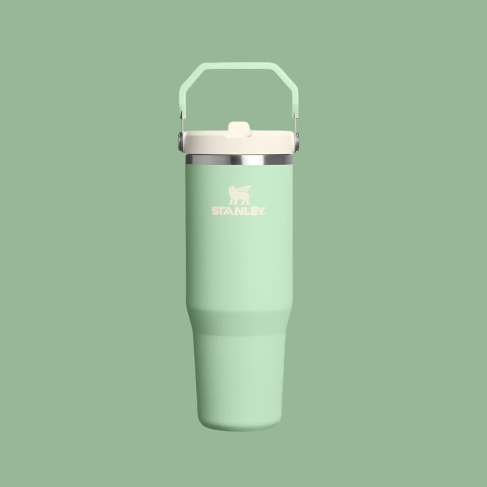 Stanley The Iceflow Flip Straw 2.0 Tumbler 30 oz in mint green with white lid and carry handle.