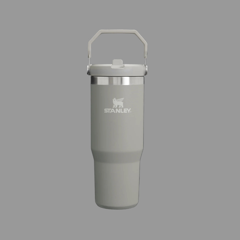 Gray Stanley tumbler with a silver lid on a white background