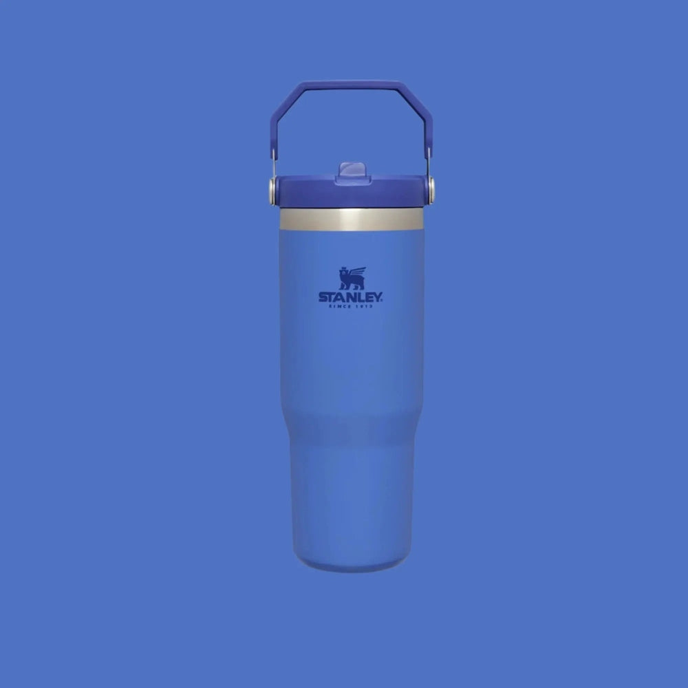 Stanley The IceFlow Flip Straw Tumbler 30 oz blue, gripped by its built-in handle.