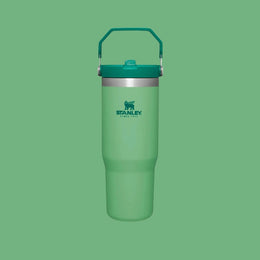 Stanley The Iceflow Flip Straw Tumbler 30 oz
