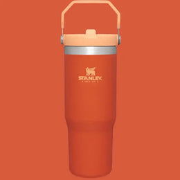Stanley The Iceflow Flip Straw Tumbler 30 oz