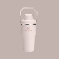 Stanley The Iceflow Tumbler With Fast Flow Lid 20 oz