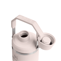 Stanley The Iceflow Tumbler With Fast Flow Lid 20 oz