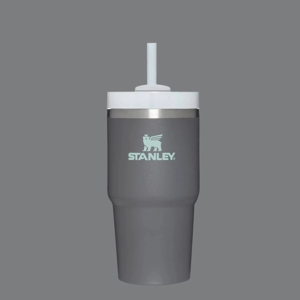 Stanley The Quencher H2.0 Flowstate Tumbler 20 oz in gray with white lid and straw ready for sipping.