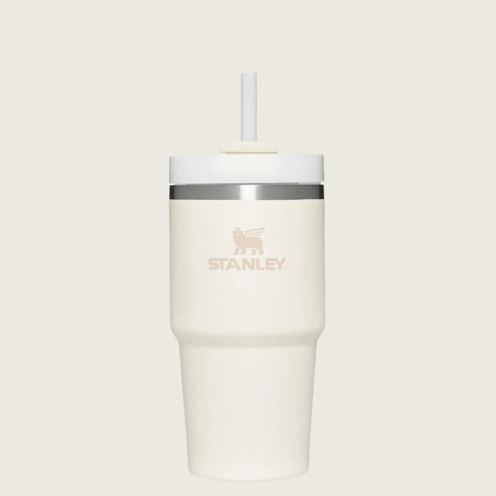 Stanley The Quencher H2.0 Flowstate Tumbler 20 oz in white with straw lid, logo visible.