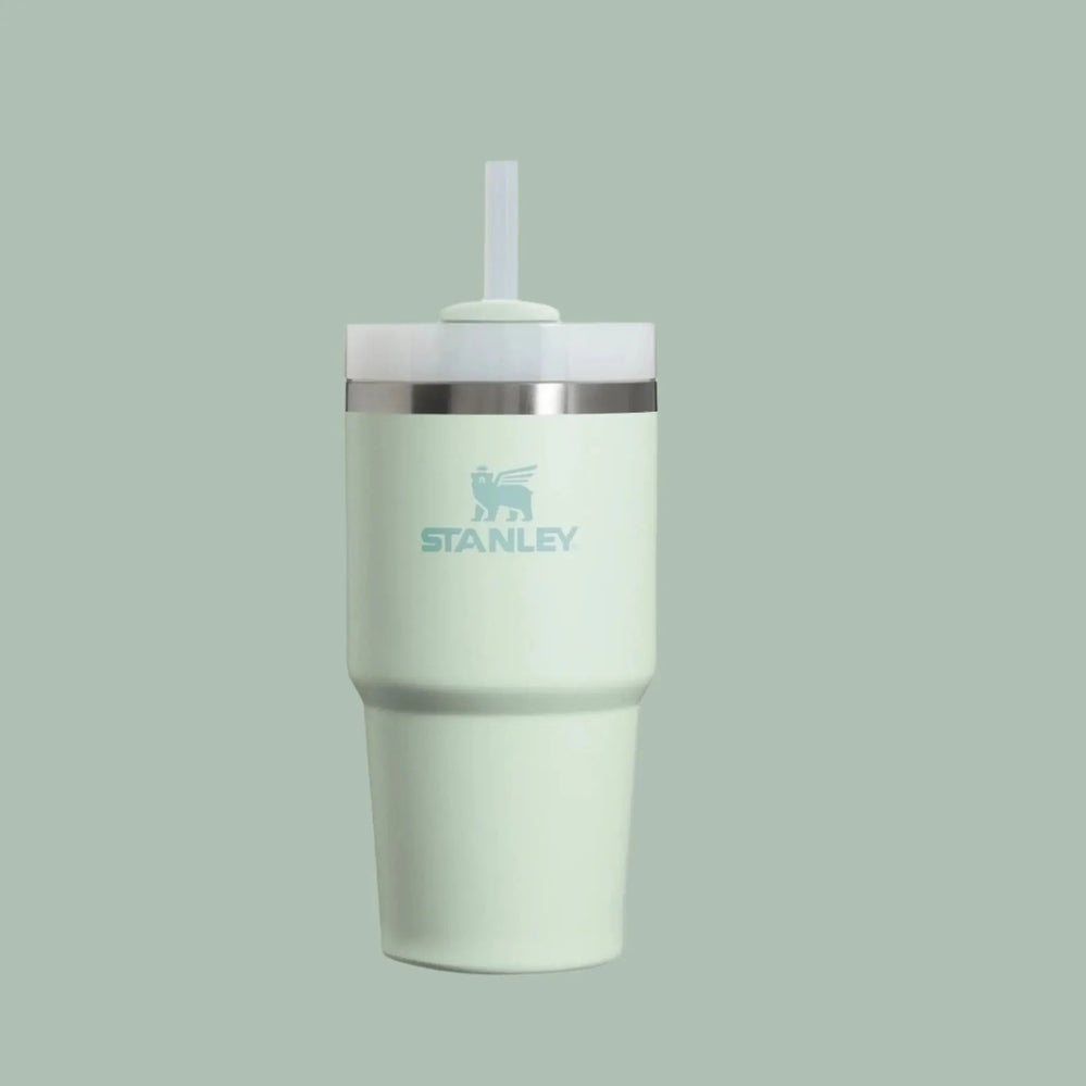 Stanley The Quencher H2.0 Flowstate Tumbler 20 oz in mint green with straw lid, ready for on-the-go hydration.