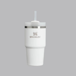 Stanley The Quencher H2.0 Flowstate Tumbler 20 oz