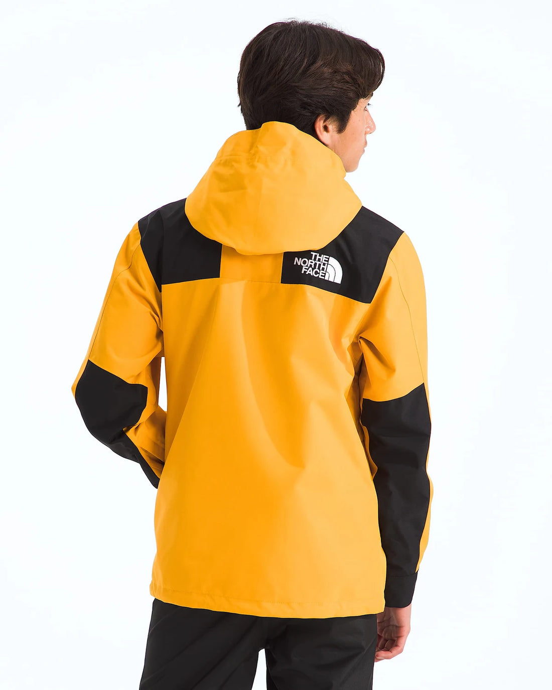 The North Face Boys’ & Girls’ GORE-TEX® Mountain Jacket - Summit Gold — back view 4