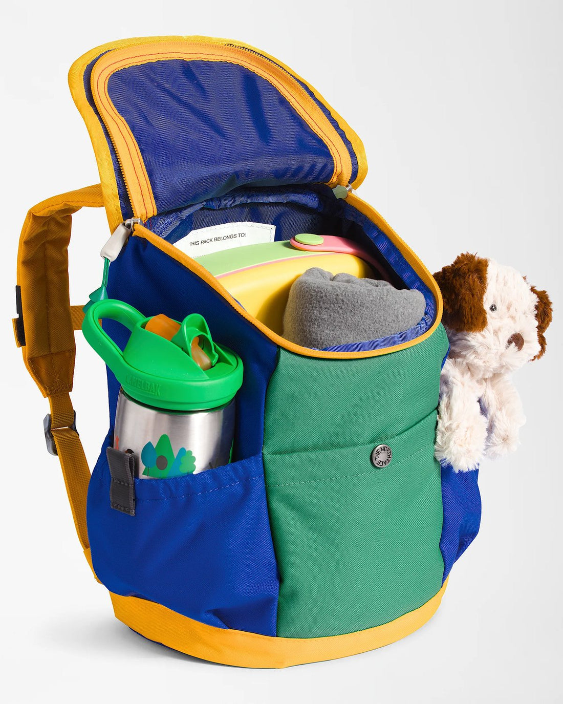 The North Face Youth Mini Explorer Backpack back view 2