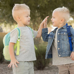 Tiny Twinkle Toddler Foldup Backpack
