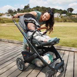 UPPAbaby Cruz V3 Stroller