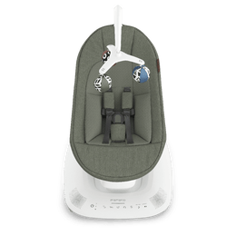 UPPAbaby Mamaroo Smart Swing