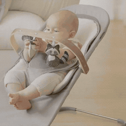 UPPAbaby Mira 2-In-1 Bouncer And Seat