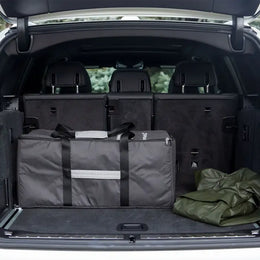 UPPAbaby Remi Travel Bag