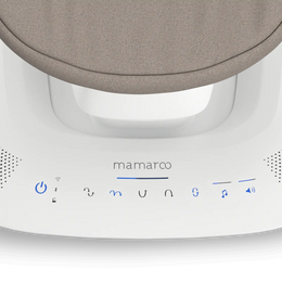 UPPAbaby Mamaroo Smart Swing