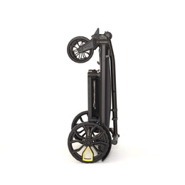 Veer All-Terrain Cruiser Wagon XL (4-Seater)