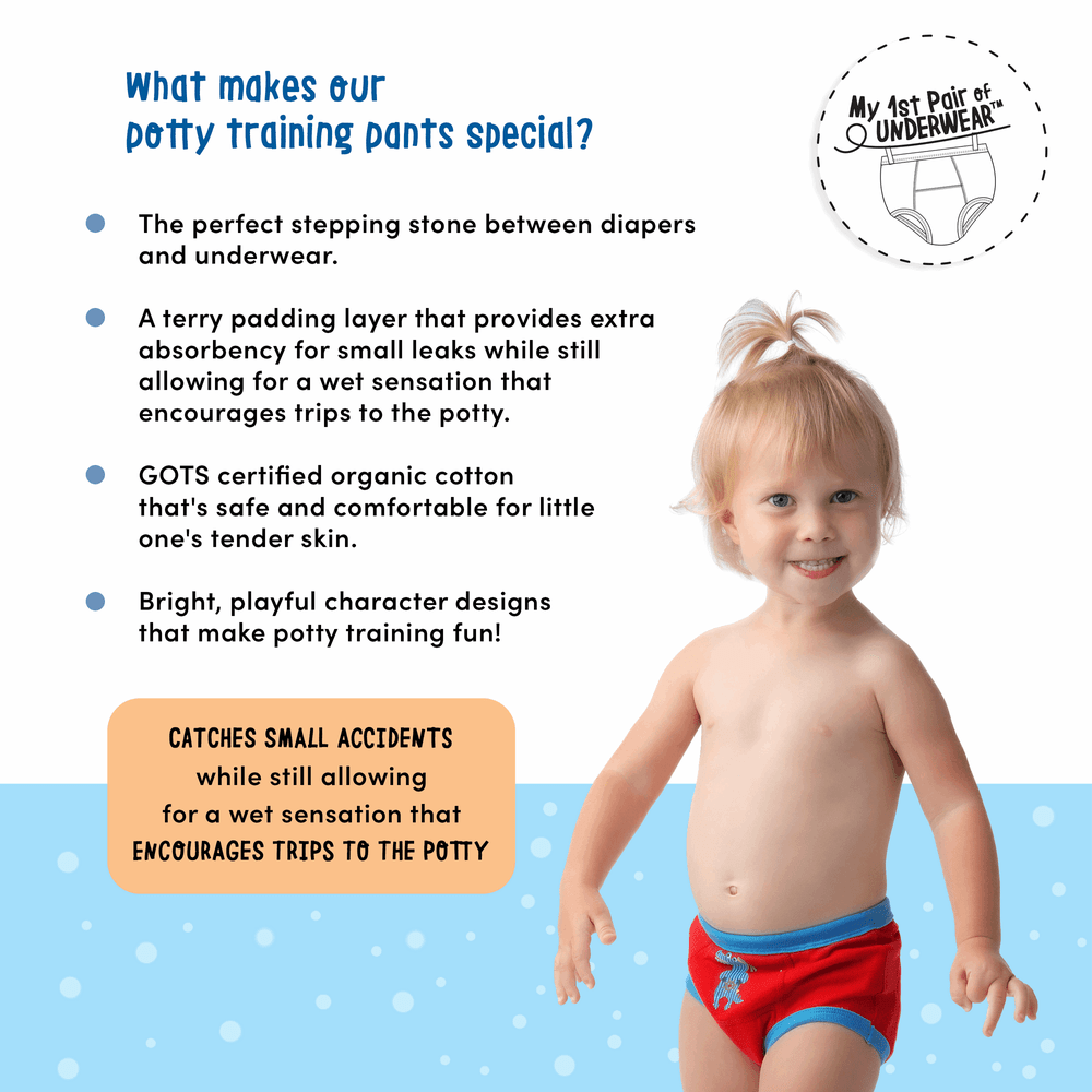 Zoocchini toddler organic potty training pants 3pk Woodland Princesses; soft cotton with blue waistband, worn by a smiling toddler.