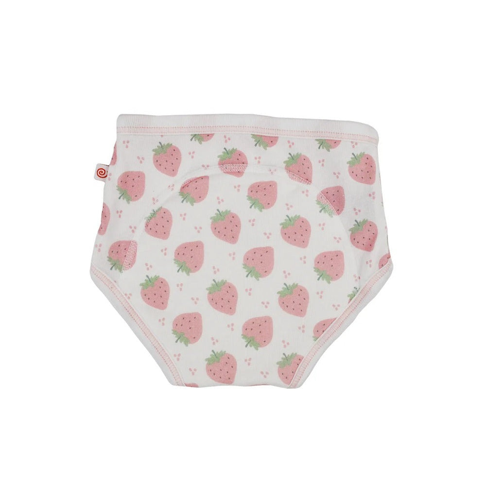 Zoocchini Training Pants 2 Pack, product view 5