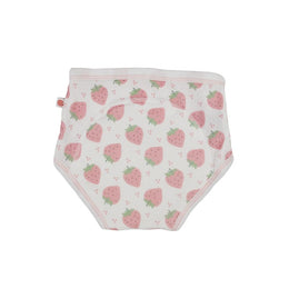 Zoocchini Training Pants 2 Pack