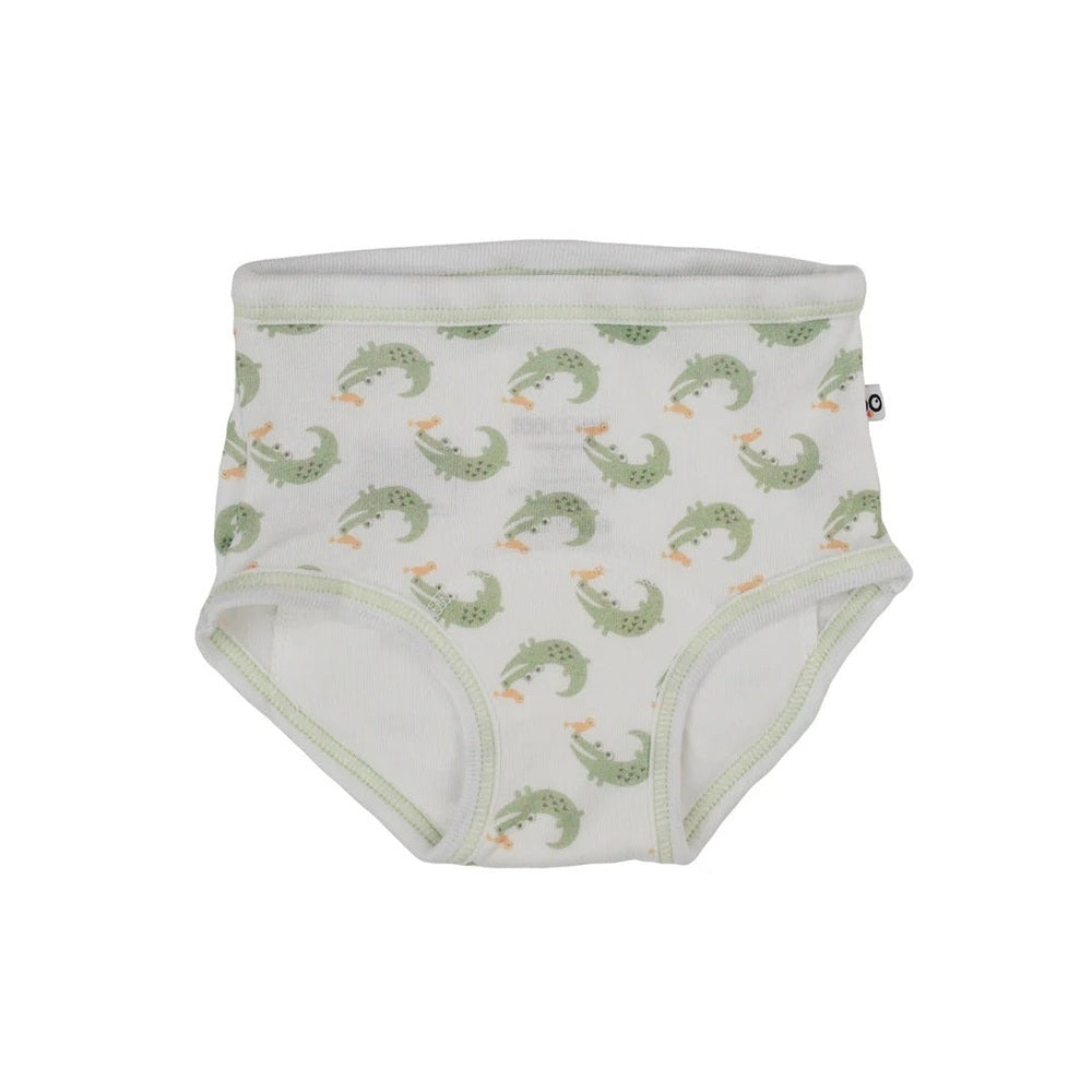 Zoocchini Training Pants 2 Pack, product view 8