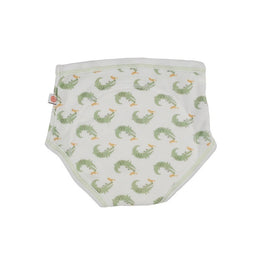 Zoocchini Training Pants 2 Pack